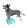 FitPAWS Balance Ramp -Happy Hundchen Geschaft fitpaws balance ramp 176140 0500 none