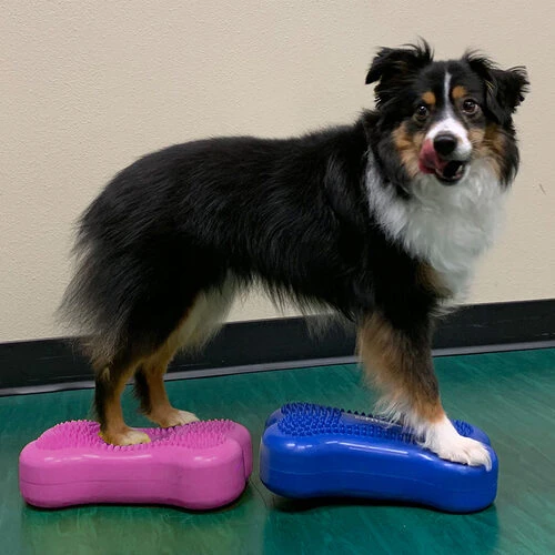 FitPAWS Bone Minis 5 FitPAWS Bone Minis – Bild 3