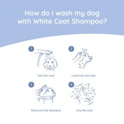 Greenfields Malteser Care Set 11 Greenfields Malteser Care Set -Happy Hundchen Geschaft greenfields malteser care set 220905 0500 none