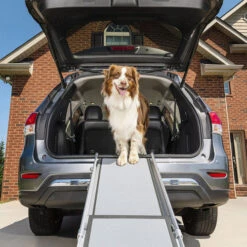 Happy Ride Telescoping Pet Ramp Deluxe -Happy Hundchen Geschaft happy ride telescoping pet ramp deluxe 162499 0500 none