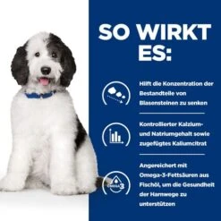 Hill's C/d Urinary Care - Prescription Diet - Canine -Happy Hundchen Geschaft hills cd urinary care prescription diet canine 217893 0500 none