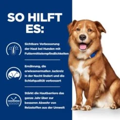 Hill's Derm Complete - Prescription Diet - Canine 14 Hill's Derm Complete - Prescription Diet - Canine -Happy Hundchen Geschaft hills derm complete prescription diet canine 211634 0500 none