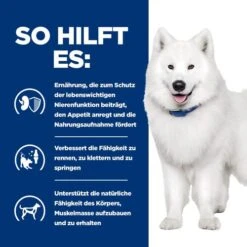 Hill's K/d + Mobility - Prescription Diet - Canine 12 Hill's K/d + Mobility - Prescription Diet - Canine -Happy Hundchen Geschaft hills kd mobility prescription diet canine 212189 0500 none