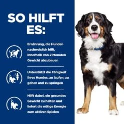 Hill's Metabolic + Mobility - Prescription Diet - Canine -Happy Hundchen Geschaft hills metabolic mobility prescription diet canine 212783 0500 none
