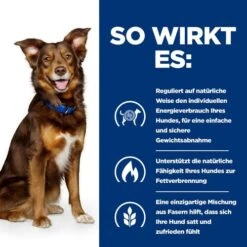Hill's Metabolic Weight Management - Prescription Diet - Canine -Happy Hundchen Geschaft hills metabolic weight management prescription diet canine 217870 0500 none