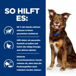 Hill's Prescription Diet Metabolic Weight Management - Canine - Lamm & Reis -Happy Hundchen Geschaft hills prescription diet metabolic weight management canine lam rijst 212666 0500 none