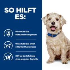 Hill's Prescription Diet W/d Diabetes Care - Canine 17 Hill's Prescription Diet W/d Diabetes Care - Canine -Happy Hundchen Geschaft hills prescription diet wd diabetes care canine 218175 0500 none