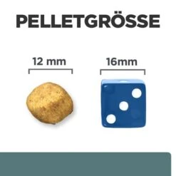 Hill's Prescription Diet W/d Diabetes Care - Canine 13 Hill's Prescription Diet W/d Diabetes Care - Canine -Happy Hundchen Geschaft hills prescription diet wd diabetes care canine 218176 0500 none