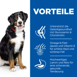 Hill's Science Plan - Adult - Large - Lamm -Happy Hundchen Geschaft hills science plan adult large lamb 218816 0500 none