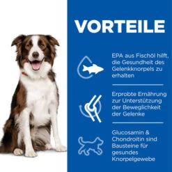 Hill's Science Plan - Healthy Mobility - Medium 12 Hill's Science Plan - Healthy Mobility - Medium -Happy Hundchen Geschaft hills science plan healthy mobility medium 218680 0500 none
