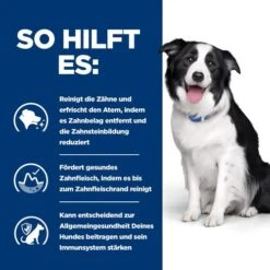 Hill's T/d Dental Care - Prescription Diet - Canine -Happy Hundchen Geschaft hills td dental care prescription diet canine 218121 0500 none