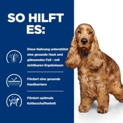 Hill's Z/d Food Sensitivities - Prescription Diet - Canine 18 Hill's Z/d Food Sensitivities - Prescription Diet - Canine -Happy Hundchen Geschaft hills zd food sensitivities prescription diet canine 214331 0500 none