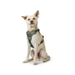 Hunter Geschirr Divo Dunkelblau/Grau -Happy Hundchen Geschaft hunter harnas divo donkerblauwgrijs 166891 0500 none