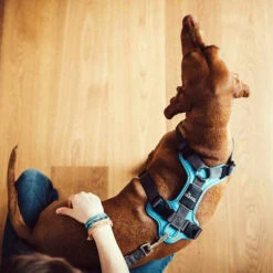 Hunter Geschirr Divo Dunkelblau/Grau -Happy Hundchen Geschaft hunter harnas divo donkerblauwgrijs 166903 0500 none