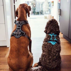 Hunter Geschirr Divo Dunkelblau/Grau -Happy Hundchen Geschaft hunter harnas divo donkerblauwgrijs 166906 0500 none