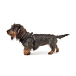 Hunter Hilo Soft Comfort-Geschirr -Happy Hundchen Geschaft hunter hilo soft comfort harnas 134191 0500 none