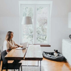 Hunter Eckkorb Livingstone - Grau 15 Hunter Eckkorb Livingstone - Grau -Happy Hundchen Geschaft hunter hoekmand livingstone grijs 175903 0500 none