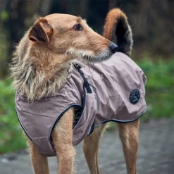 Hunter Hundemantel Uppsala 17 Hunter Hundemantel Uppsala -Happy Hundchen Geschaft hunter hondemantel uppsala taupe 165685 0500 none