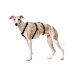 Hunter Vario Rapid Sicherheitsgeschirr - Schwarz 11 Hunter Vario Rapid Sicherheitsgeschirr - Schwarz -Happy Hundchen Geschaft hunter vario rapid veiligheidsharnas zwart 169501 0500 none