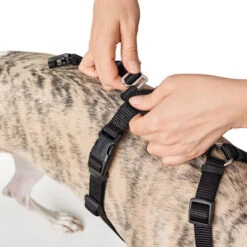 Hunter Vario Rapid Sicherheitsgeschirr - Schwarz 13 Hunter Vario Rapid Sicherheitsgeschirr - Schwarz -Happy Hundchen Geschaft hunter vario rapid veiligheidsharnas zwart 169504 0500 none