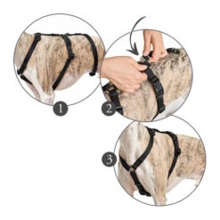 Hunter Vario Rapid Sicherheitsgeschirr - Schwarz 14 Hunter Vario Rapid Sicherheitsgeschirr - Schwarz -Happy Hundchen Geschaft hunter vario rapid veiligheidsharnas zwart 169510 0500 none