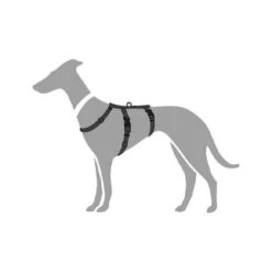 Hunter Vario Rapid Sicherheitsgeschirr - Schwarz 10 Hunter Vario Rapid Sicherheitsgeschirr - Schwarz -Happy Hundchen Geschaft hunter vario rapid veiligheidsharnas zwart 169516 0500 none