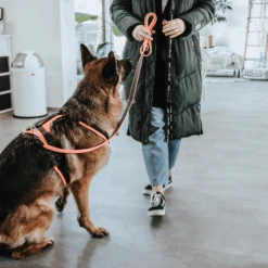 Hunter Sicherheitsgeschirr Maldon 22 Hunter Sicherheitsgeschirr Maldon -Happy Hundchen Geschaft hunter veiligheidsharnas maldon 221557 0500 none