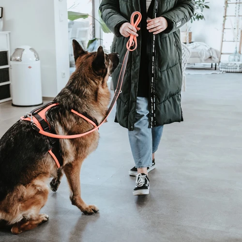 Hunter Sicherheitsgeschirr Maldon 8 Hunter Sicherheitsgeschirr Maldon – Bild 6