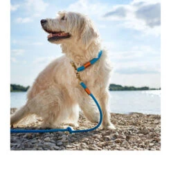 Hunter Verstellbare Führleine Oss -Happy Hundchen Geschaft hunter verstelbare riem oss 116580 0500 none