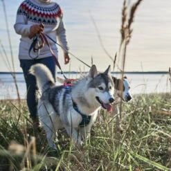 Hurtta - Geschirr Weekend Warrior Winter - Bilberry -Happy Hundchen Geschaft hurtta weekend warrior winter harnas bilberry 216605 0500 none