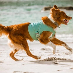 Hurtta Cooling Wrap - Hellblau -Happy Hundchen Geschaft hurtta cooling wrap lichtblauw 178462 0500 none