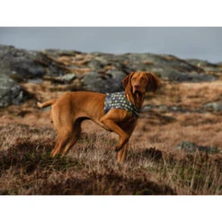 Hurtta Go Geschirr Storm Grey 9 Hurtta Go Geschirr Storm Grey -Happy Hundchen Geschaft hurtta go harness storm grey 201305 0500 none