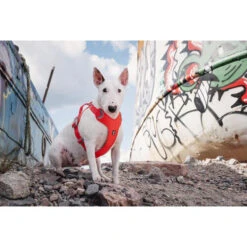 Hurtta Weekend Warrior Eco Geschirr 9 Hurtta Weekend Warrior Eco Geschirr -Happy Hundchen Geschaft hurtta weekend warrior eco harness 189132 0500 none