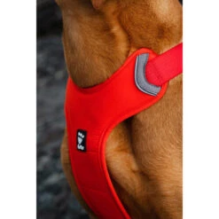Hurtta Weekend Warrior Eco Geschirr 13 Hurtta Weekend Warrior Eco Geschirr -Happy Hundchen Geschaft hurtta weekend warrior eco harness 189136 0500 none