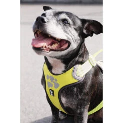 Hurtta Weekend Warrior Geschirr -Happy Hundchen Geschaft hurtta weekend warrior harness 189093 0500 none