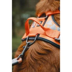 Hurtta Weekend Warrior Geschirr -Happy Hundchen Geschaft hurtta weekend warrior harness 189096 0500 none