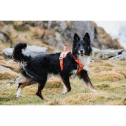 Hurtta Weekend Warrior Geschirr -Happy Hundchen Geschaft hurtta weekend warrior harness 189123 0500 none