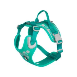 Hurtta Weekend Warrior Geschirr -Happy Hundchen Geschaft hurtta weekend warrior harness 203807 0500 none