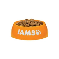 IAMS For Vitality Adult Large Breed Dog - Chicken 6 IAMS For Vitality Adult Large Breed Dog - Chicken -Happy Hundchen Geschaft iams adult large breed dog 133688 0500 none