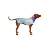 Zee.Dog - 90er Regenjacke 1 Zee.Dog - 90er Regenjacke -Happy Hundchen Geschaft jaren 90 regenjas 215876 0500 none