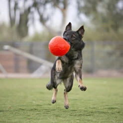 Jolly Soccer Ball -Happy Hundchen Geschaft jolly soccer ball 162241 0500 none