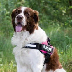 Julius K9 IDC Powergeschirr -Happy Hundchen Geschaft julius k9 idc powertuig 192695 0500 none