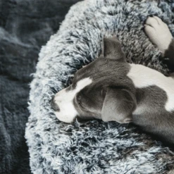 Kentucky Dogwear - Comfort Donut-Hundekorb -Happy Hundchen Geschaft kentucky dogwear comfort donut hondenmand 219723 0500 none