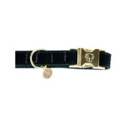 Kentucky Dogwear Corduroy Hundehalsband 16 Kentucky Dogwear Corduroy Hundehalsband -Happy Hundchen Geschaft kentucky dogwear corduroy hondenhalsband 219195 0500 none