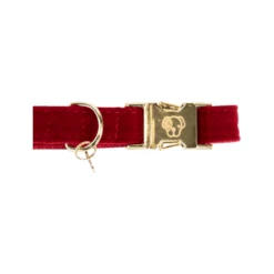 Kentucky Dogwear Corduroy Hundehalsband 15 Kentucky Dogwear Corduroy Hundehalsband -Happy Hundchen Geschaft kentucky dogwear corduroy hondenhalsband 219199 0500 none