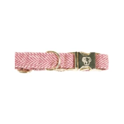 Kentucky Dogwear Hundehalsband Wool -Happy Hundchen Geschaft kentucky dogwear hondenhalsband wool 219709 0500 none
