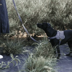 Kentucky Dogwear Hundegeschirr Body Safe Wool 16 Kentucky Dogwear Hundegeschirr Body Safe Wool -Happy Hundchen Geschaft kentucky dogwear hondenharnas body safe wool 219214 0500 none