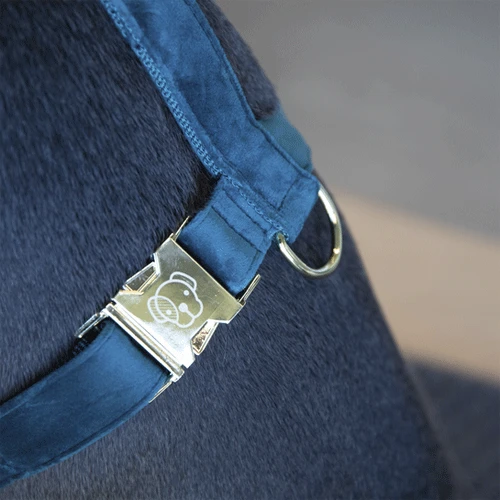 Kentucky Dogwear Hundegeschirr Velvet Loop 10 Kentucky Dogwear Hundegeschirr Velvet Loop – Bild 8