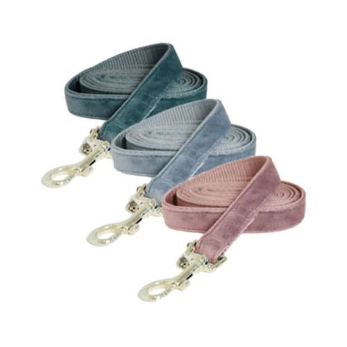 Kentucky Dogwear Hundeleine Velvet 3 Kentucky Dogwear Hundeleine Velvet