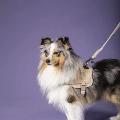 Kentucky Dogwear Hundeleine Wool 18 Kentucky Dogwear Hundeleine Wool -Happy Hundchen Geschaft kentucky dogwear hondenlijn wool 219684 0500 none